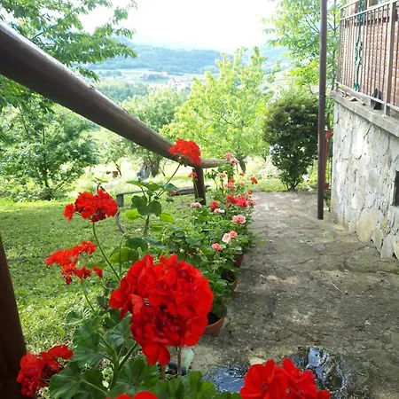 Casa Dei Ciliegi Apartment