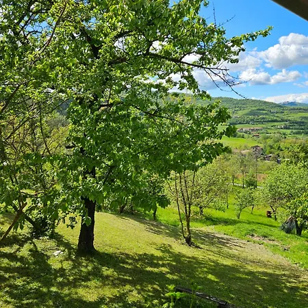 Casa Dei Ciliegi *