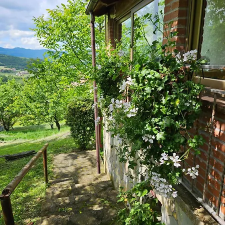 Casa Dei Ciliegi