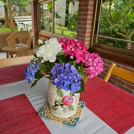 Casa Dei Ciliegi Apartamento *