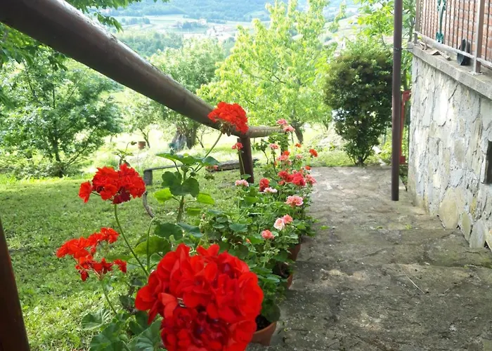 Casa Dei Ciliegi شقة